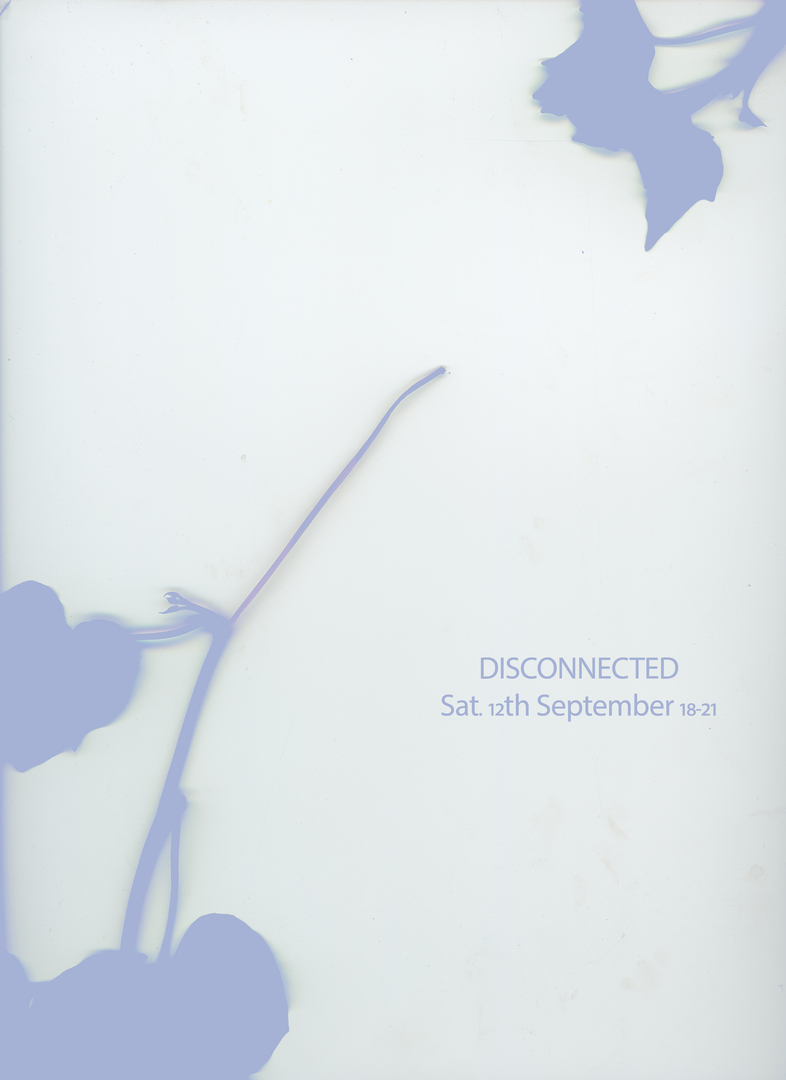 Disconnected - Vegan Culinary Pop-Up